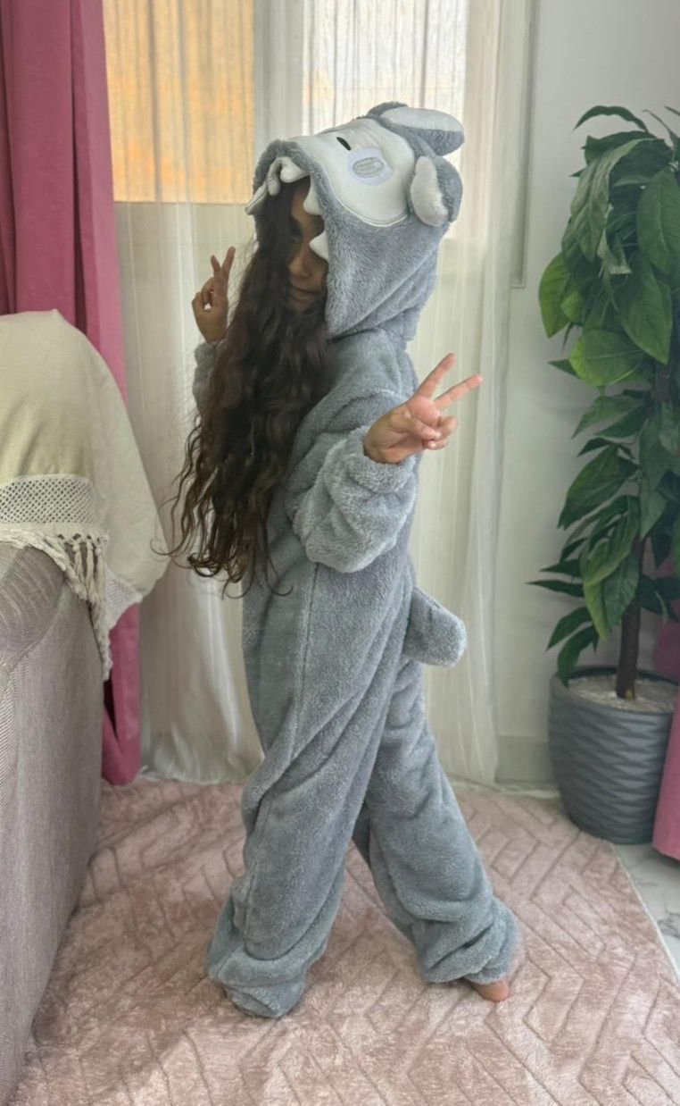 الحامبسوت الابوبو الgray